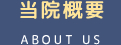 当院概要